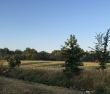 ディスカウ公園の辺りの景色、ライデ川のそばにあら草原