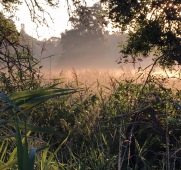 朝07:00時、ディスカウ公園の辺りの景色、ライデ川のそばにあら草原