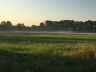 朝07:00時、ディスカウ公園の辺りの景色、ライデ川のそばにあら草原