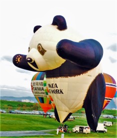 22nd FAI World Hot Air Balloon Championship
