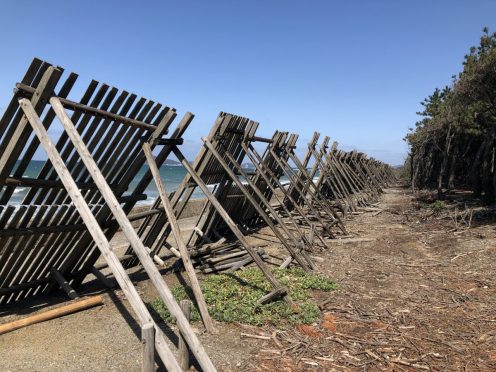 Windbreak fence Koga shore 2017